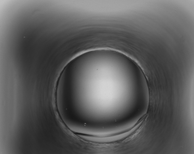 X0000088411534200705291439
