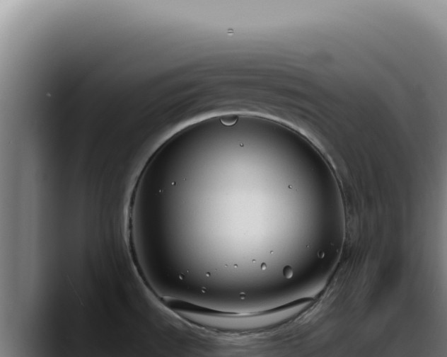 X0000088411535200705291439