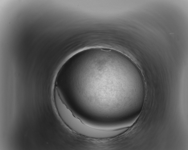 X0000088411536200705291439