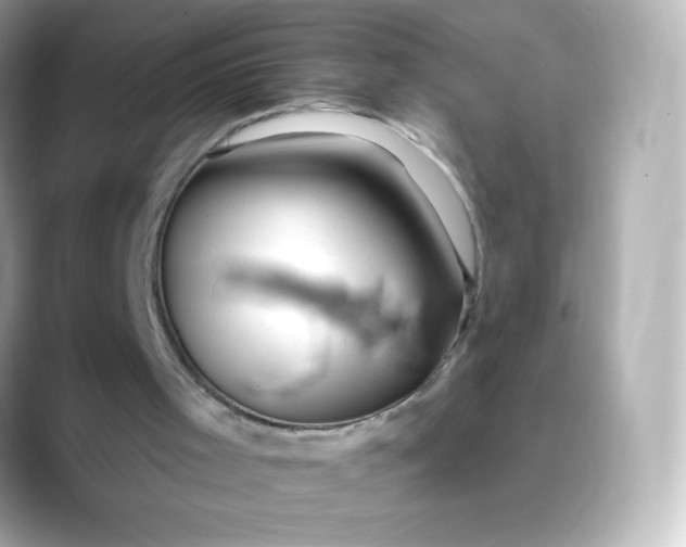 X0000088410001200706051202