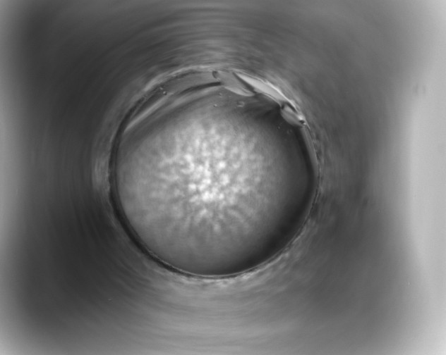 X0000088410002200706051202