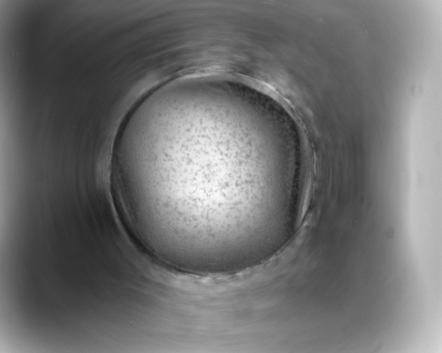 X0000088410003200706051202