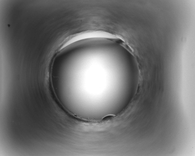 X0000088410005200706051202