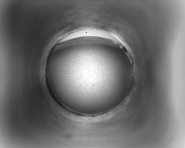 X0000088410007200706051202