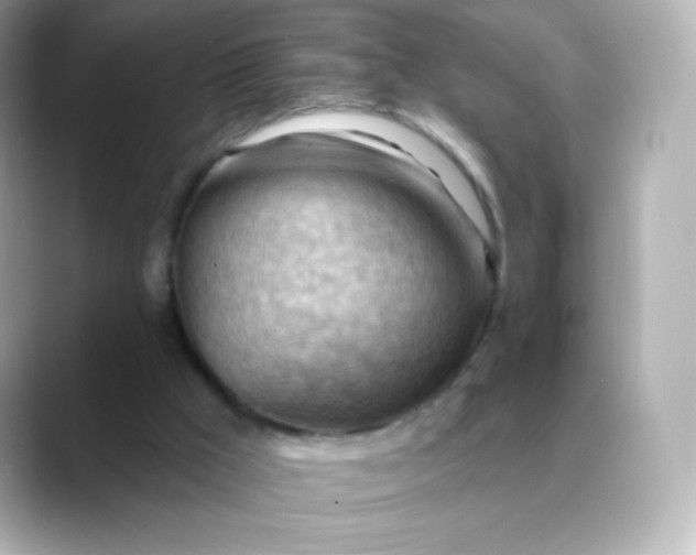 X0000088410009200706051202