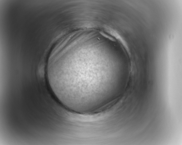 X0000088410010200706051202