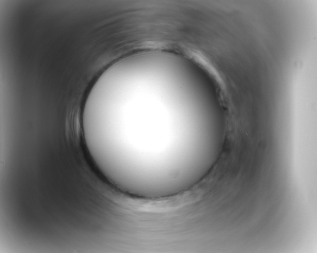 X0000088410011200706051202