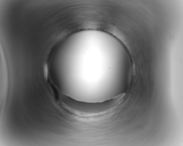 X0000088410013200706051202