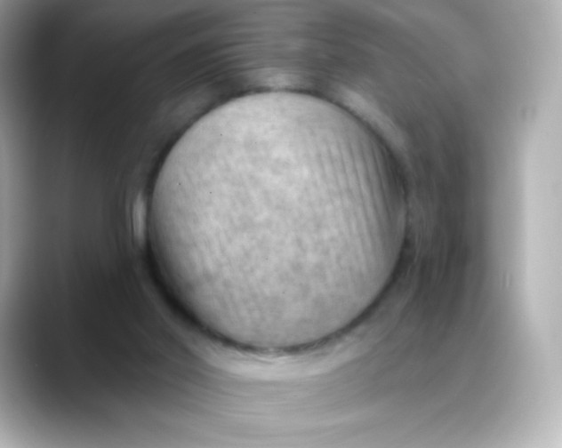 X0000088410014200706051202