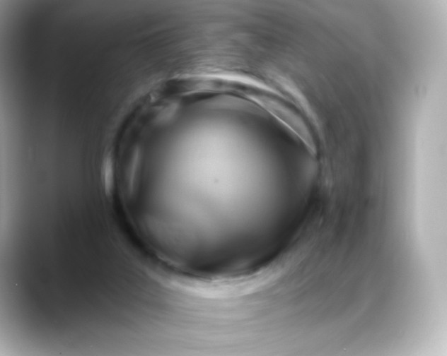 X0000088410019200706051202