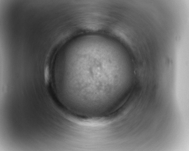 X0000088410020200706051202