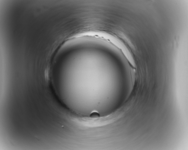 X0000088410023200706051202