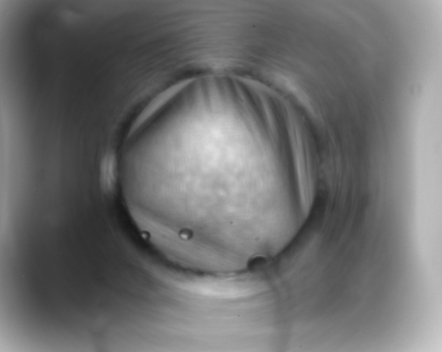 X0000088410024200706051202