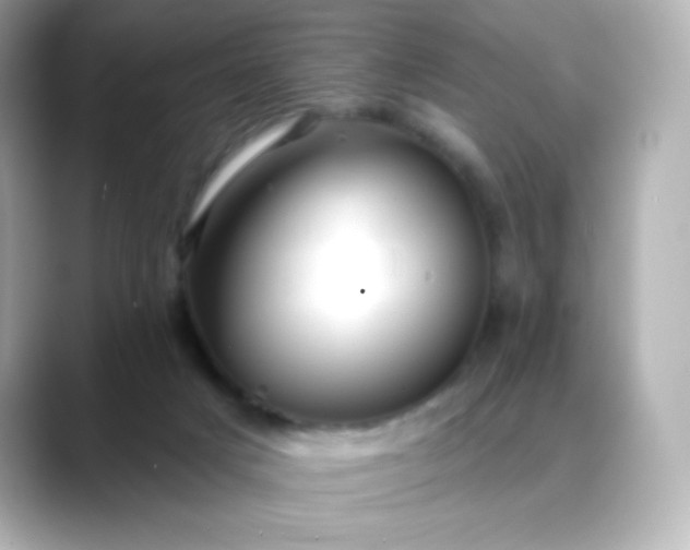 X0000088410025200706051202