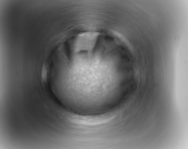 X0000088410026200706051202