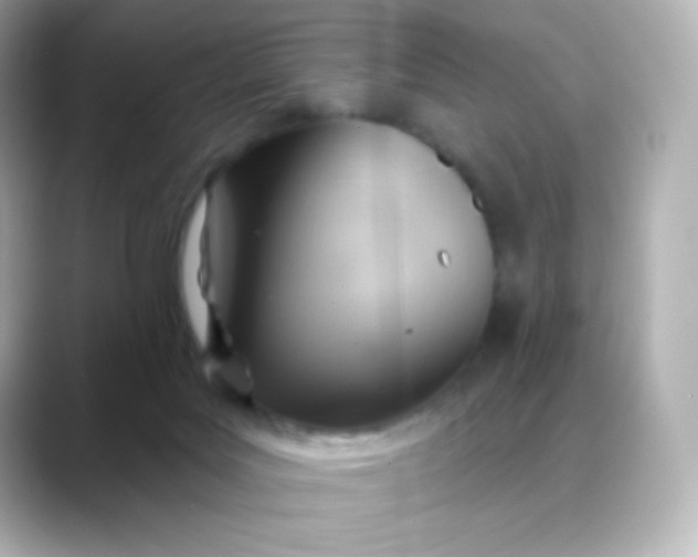 X0000088410027200706051202