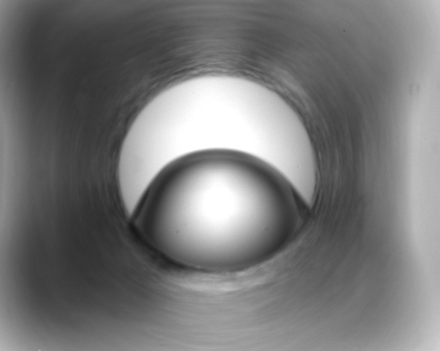 X0000088410029200706051201