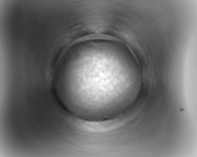 X0000088410030200706051201