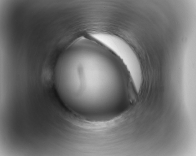 X0000088410031200706051201