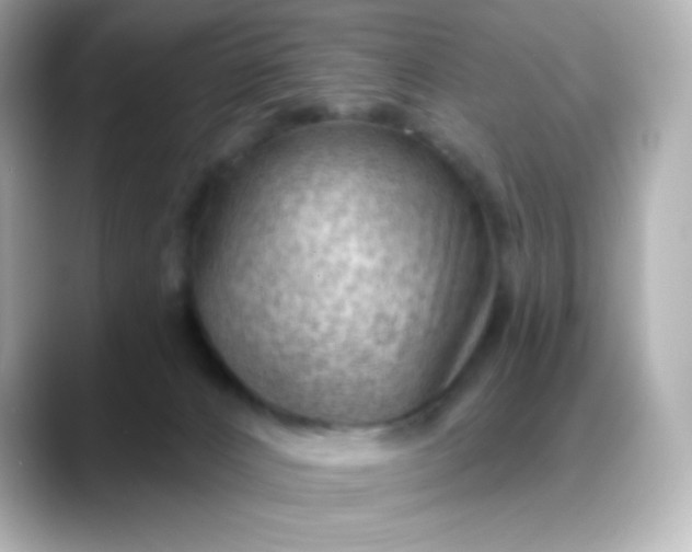 X0000088410032200706051201