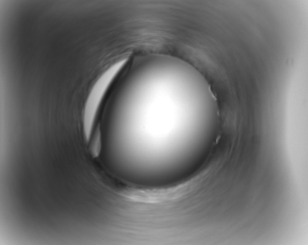 X0000088410033200706051201