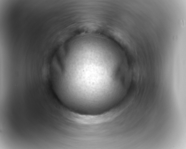 X0000088410034200706051201