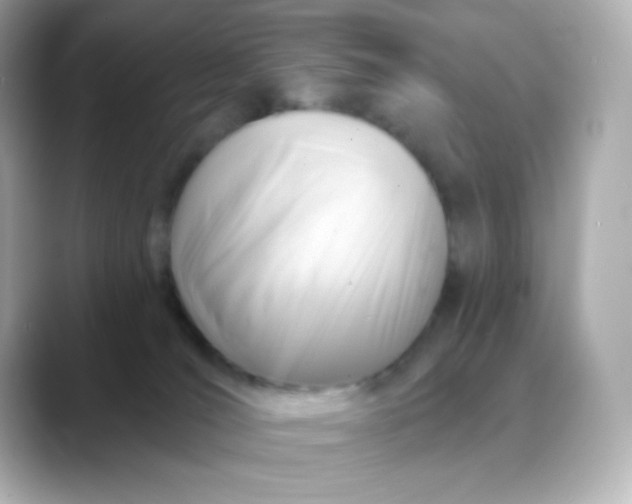 X0000088410036200706051201