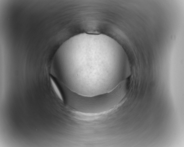 X0000088410037200706051201