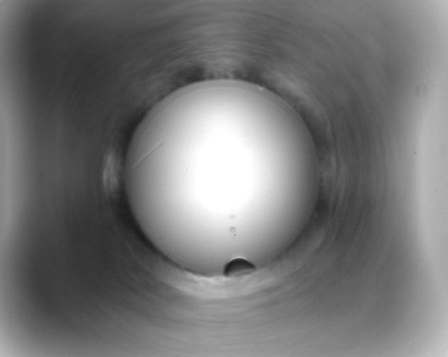 X0000088410038200706051201