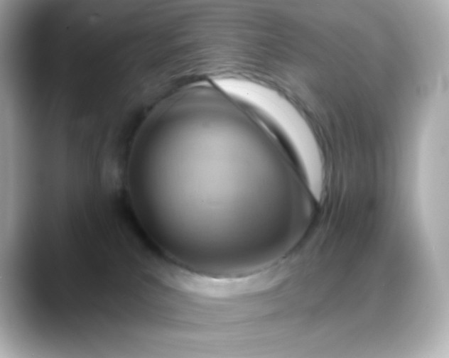 X0000088410039200706051201