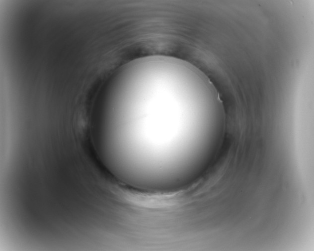 X0000088410040200706051201