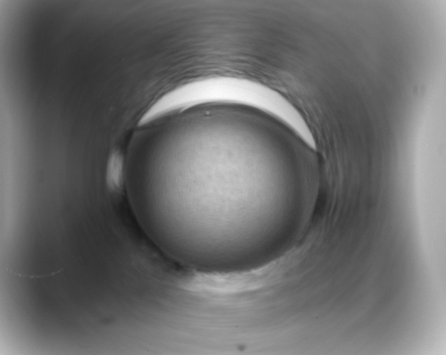 X0000088410041200706051201