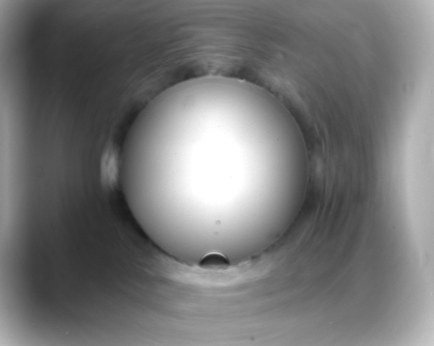 X0000088410042200706051201