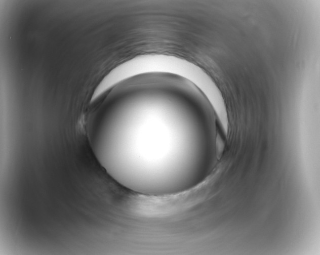 X0000088410045200706051201