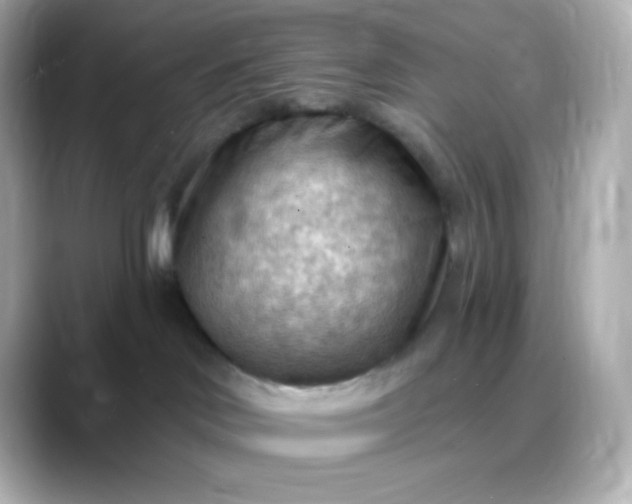 X0000088410046200706051201