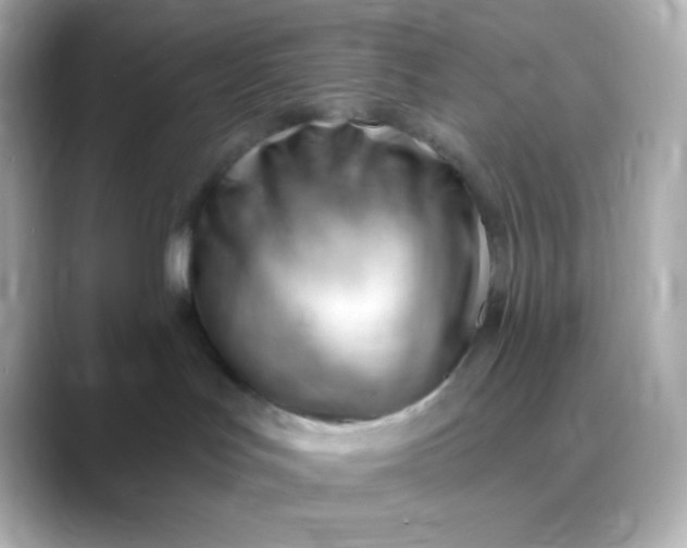 X0000088410047200706051201