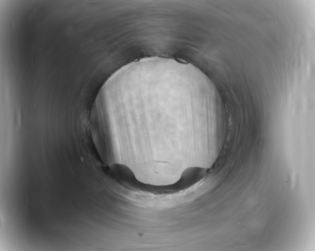 X0000088410048200706051201