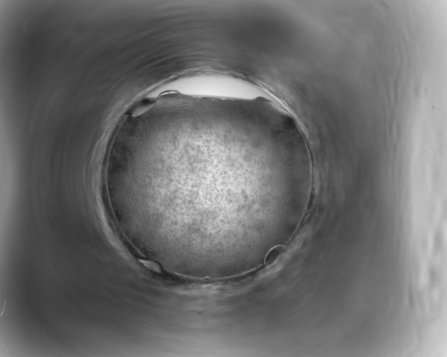 X0000088410049200706051201