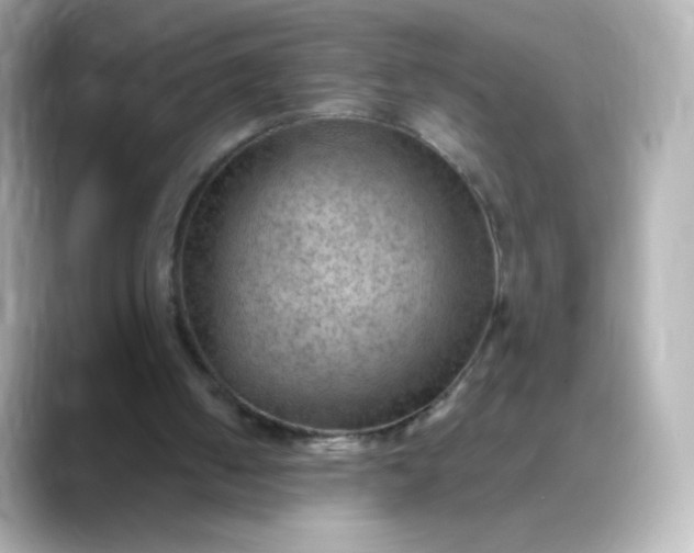 X0000088410050200706051201