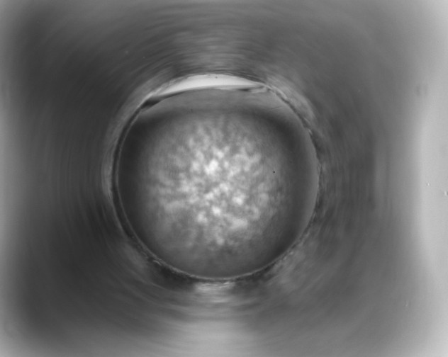 X0000088410051200706051201