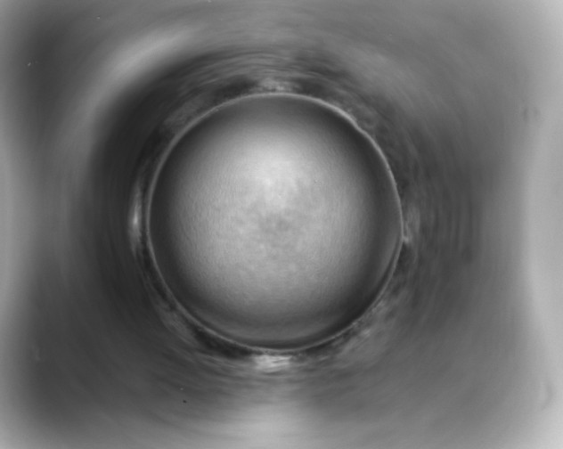 X0000088410052200706051201