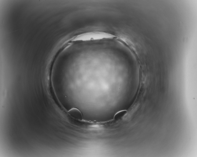 X0000088410053200706051201