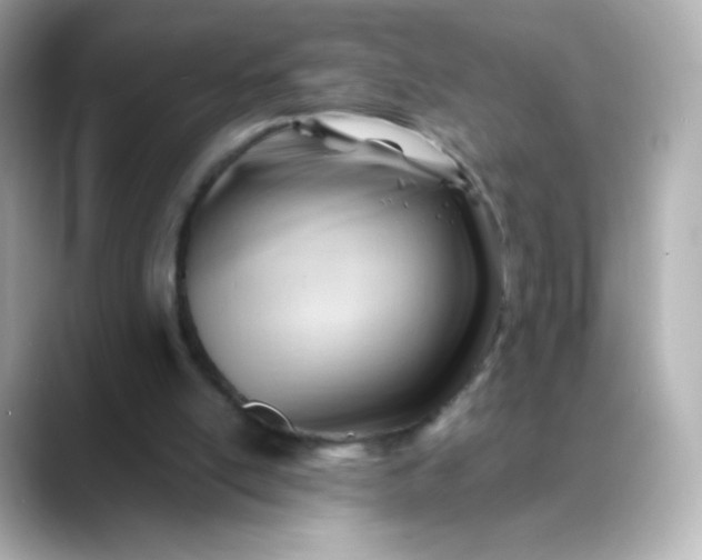 X0000088410054200706051201