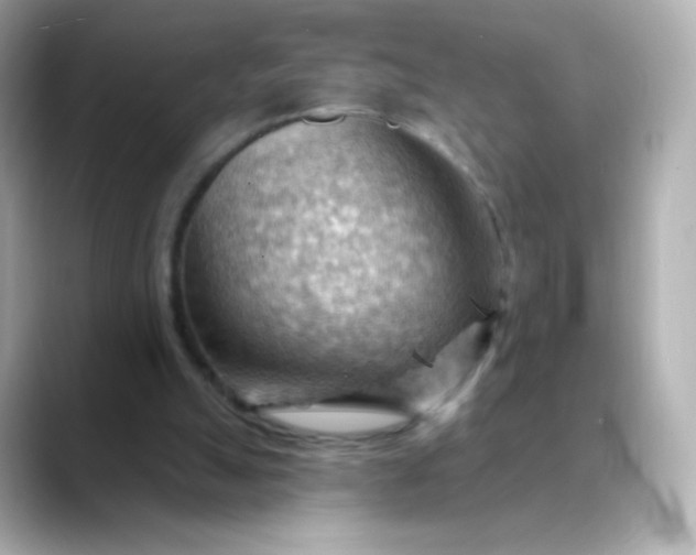 X0000088410055200706051201