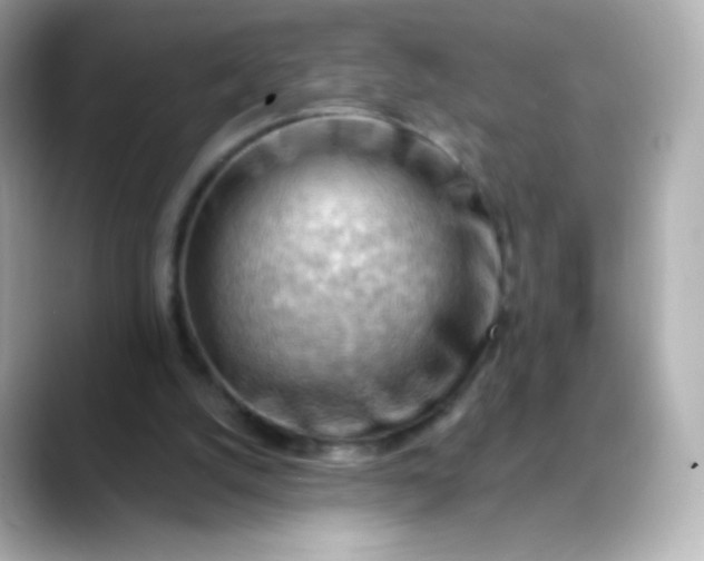 X0000088410056200706051201