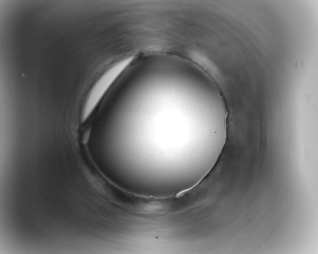 X0000088410058200706051201