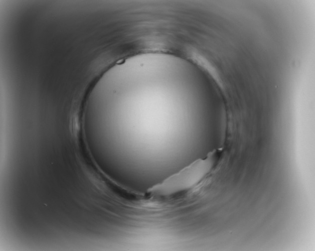 X0000088410059200706051201