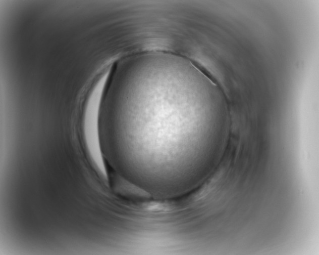 X0000088410060200706051201