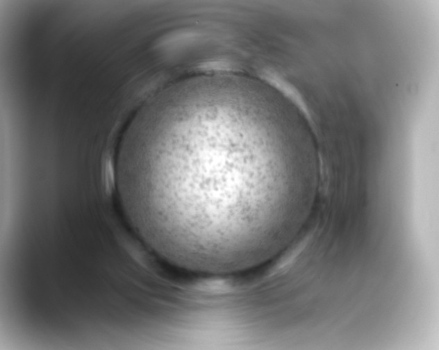 X0000088410061200706051201