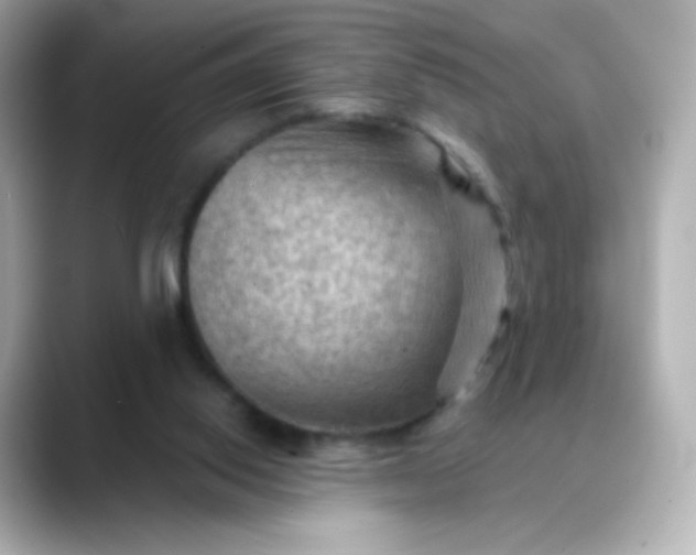 X0000088410062200706051201